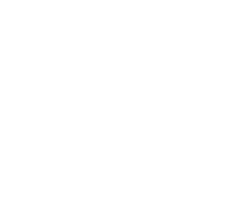 Icon mit Herz und EKG-Diagramm als Symbolbild für die Werte von Sylvia Scherer